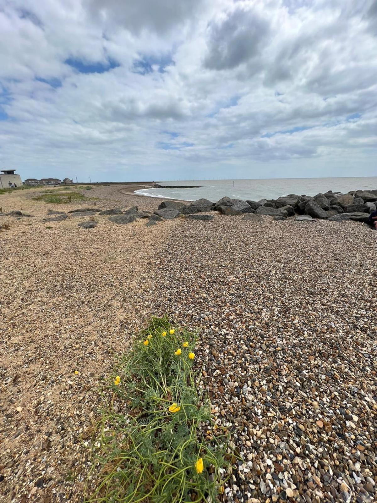 Luxurious Three Bedroom Caravan Jaywick Sands Exteriör bild